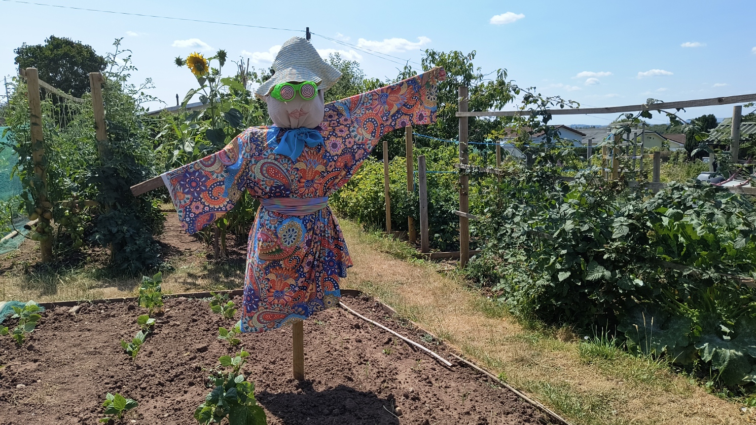 Ross-on-Wye Scarecrows